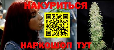 сатива Абакан