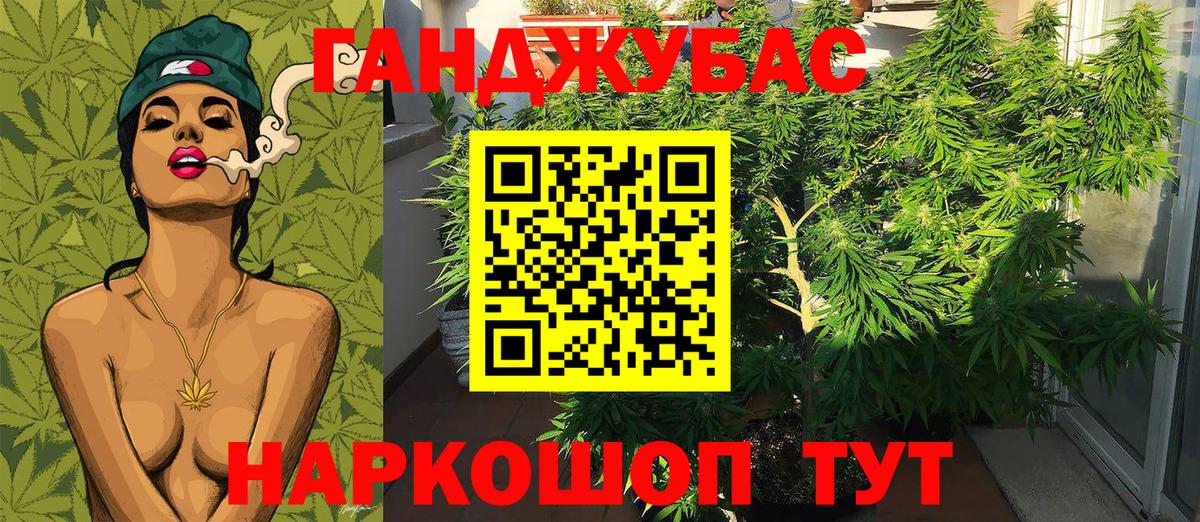 Шишки марихуана гибрид Артёмовский